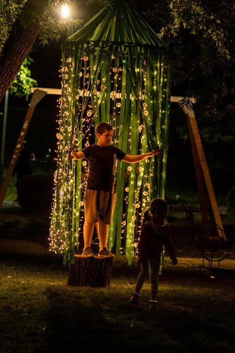 Foto kutak - Forest Fairytale